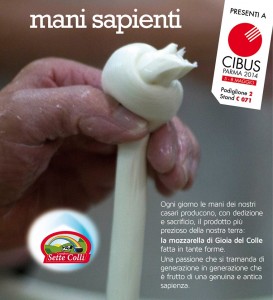 sette colli_cibus